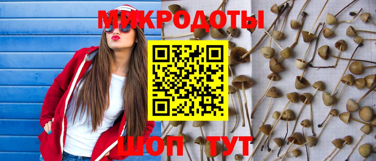 Псилоцибиновые грибы прущие грибы  Вход с VPN  Елабуга 